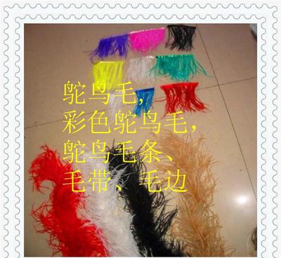 鴕鳥羽毛 從原毛進(jìn)口到舞臺(tái)閃耀的時(shí)尚與藝術(shù)輔料